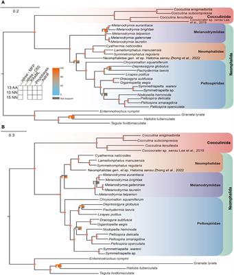 Mitogenome-based phylogeny of the gastropod order Neomphalida points to multiple habitat shifts and a Pacific origin